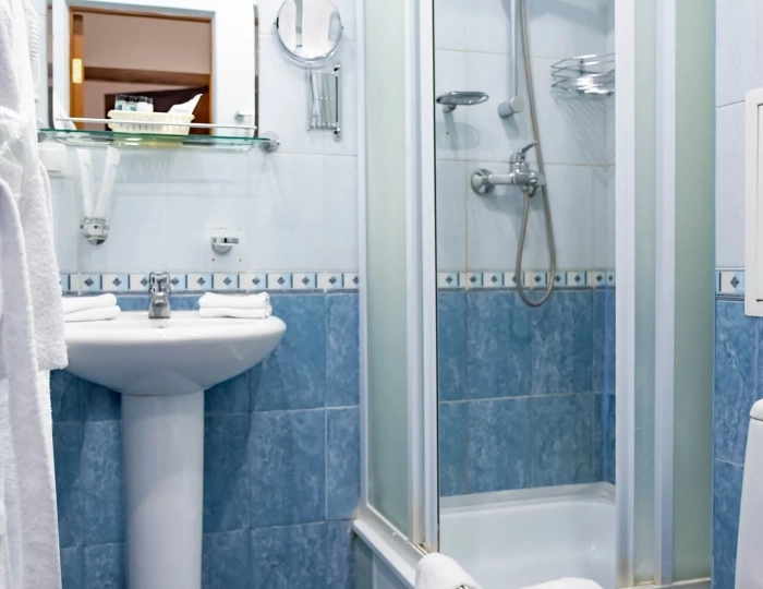 Стандарт Глав. кор. - Оздоровительный комплекс «Десна»