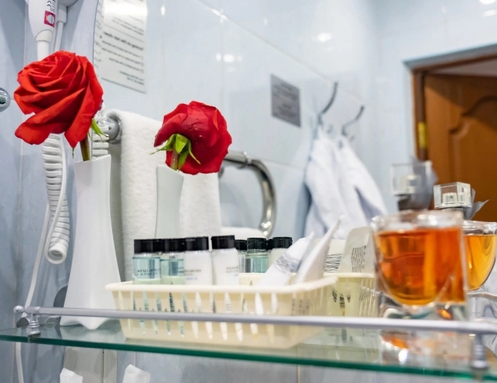 Полулюкс Глав. корп. - Оздоровительный комплекс «Десна»