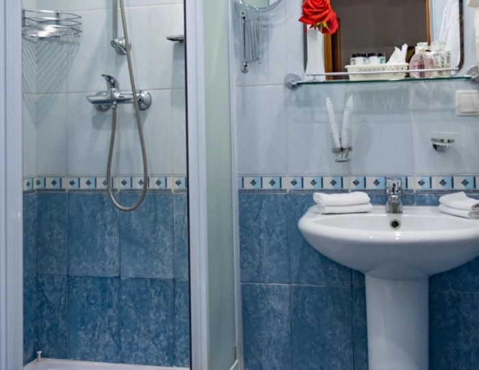 Полулюкс Глав. корп. - Оздоровительный комплекс «Десна»