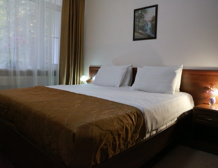 Стандарт "Сибирь" - Оздоровительный комплекс «Десна»