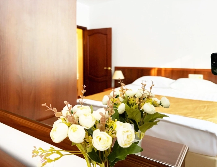 Студия с кухонным уголком "Сибирь" - Оздоровительный комплекс «Десна»