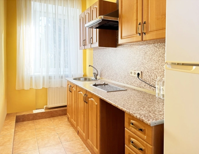 Апартаменты с кухней "Сибирь" - Оздоровительный комплекс «Десна»