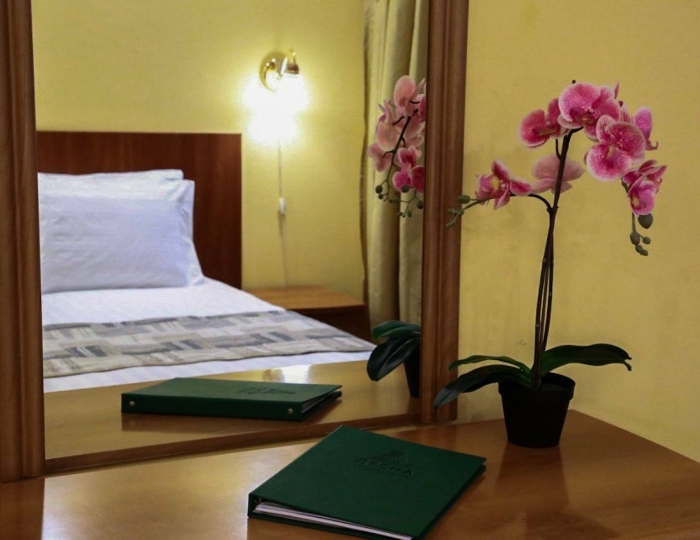 Апартаменты 2-комн с кухней "Урал" - Оздоровительный комплекс «Десна»