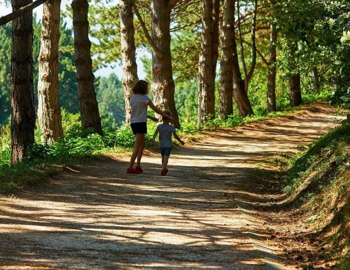 Терренкур - Оздоровительный комплекс «Десна»